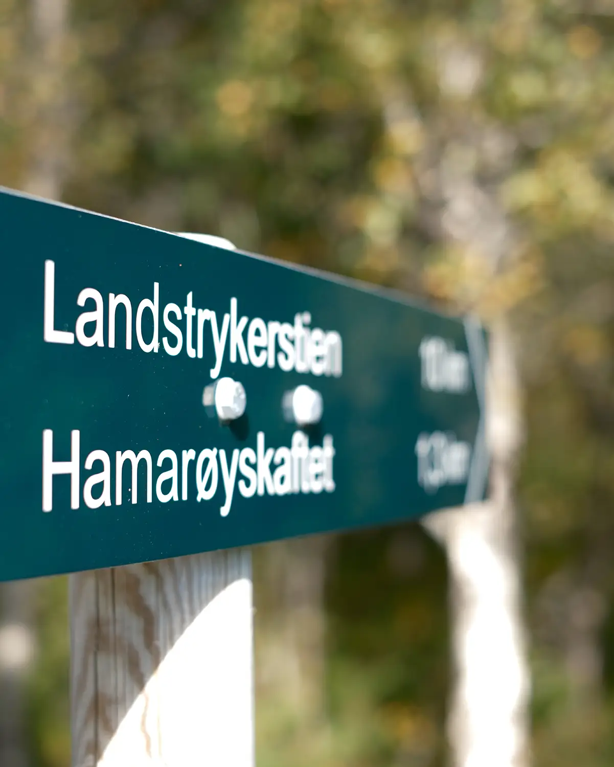 Fjellklatring Stetind. Lær deg fjellklatring.